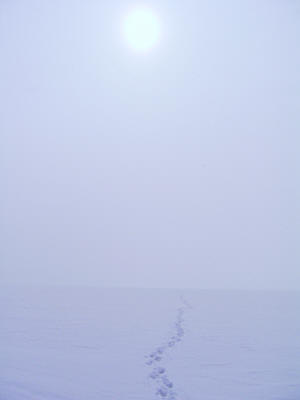 Тундровый пейзаж на льду Волги