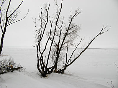 Жигулёвское море в феврале