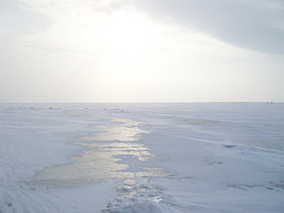 Тундровый пейзаж на льду Волги