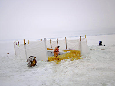Турклуб Мотало-ходи - крещенское купание в проруби