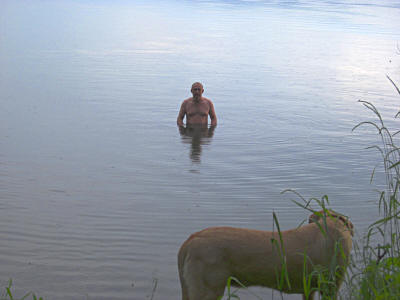 Утреннее купание на озере Парное