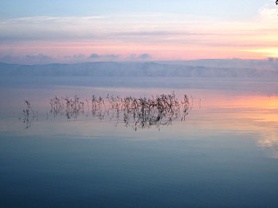 Утренний туман на озере Парное