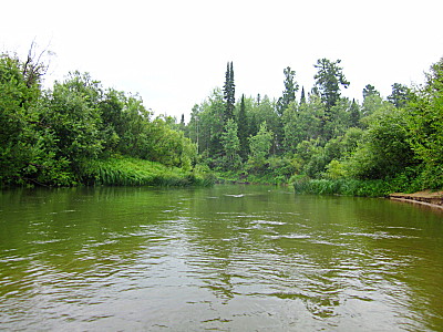Река Четь в тайге Тюхтетского района