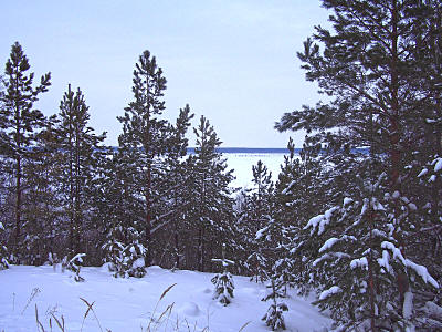 Зимний пейзаж урочища Гусиха на Волге. Фото Дмитрия Протасова