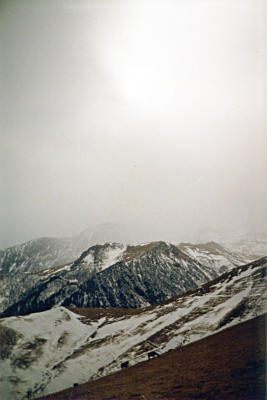 Карачаевские лошади зимой на вольном выпасе в горах
