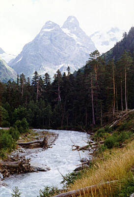 Тайга на реке Псыш и гора Токмак. Фото С. Кайсина