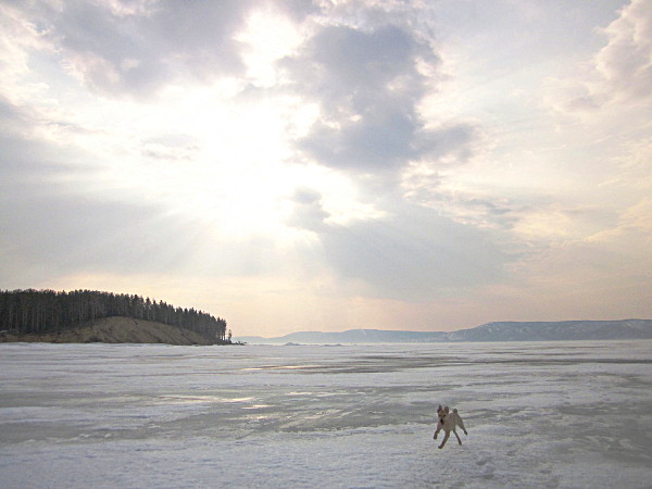По последнему льду Жигулёвского моря