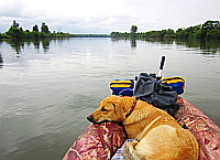 kayaking with dog river Chulym Nazarovo-Achinsk in Siberia