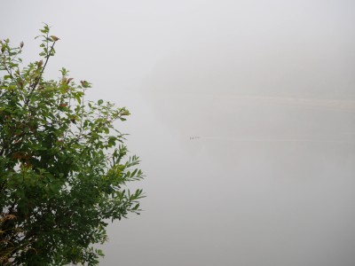 Туман над рекой Чулым под Бирилюссами