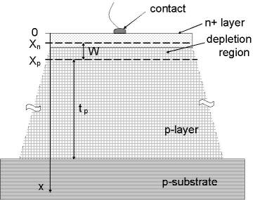 cross section of SiC photodiode